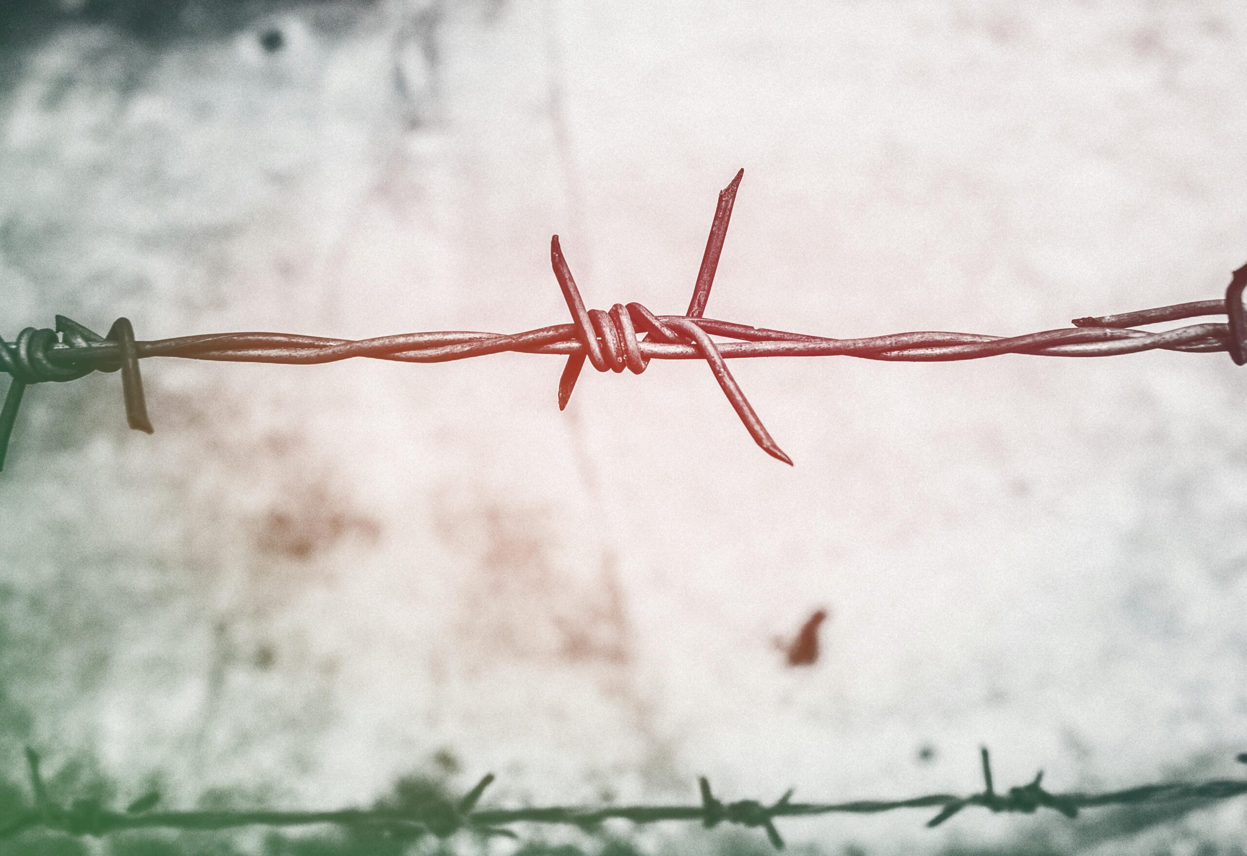 A close-up view of a rusty barbed wire fence outdoors with a blurred background.